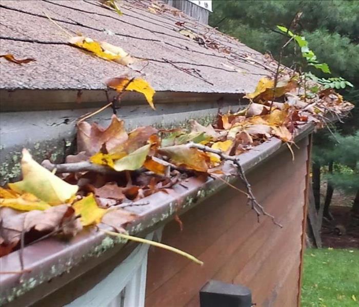 image of fall foliage clogging the gutters of a home