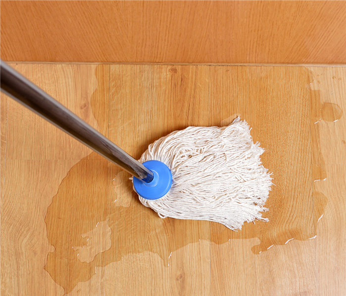 A mop is cleaning water from a hardwood floor.